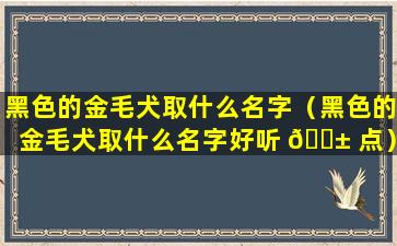 黑色的金毛犬取什么名字（黑色的金毛犬取什么名字好听 🐱 点）